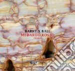 Barry x Ball. Medardo Rosso project. Ediz. italiana e inglese libro