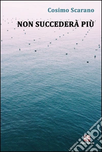 Non succederà più