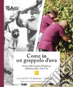 Come in un grappolo d'uva. Storia della Cantina Produttori di Ramuscello e San Vito