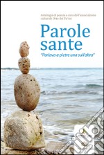 Parole sante. «Parlava a pietre una sull'altra» libro