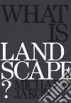What is landscape? Ediz. illustrata libro