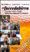 Faccedabirra. Le storie, i volti e i luoghi della birra artigianale in Campania libro