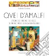 Quei d'Amalfi. Storie di sirene e di eroi, di principesse e di avventurieri. Ediz. illustrata libro