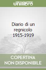 Diario di un regnicolo 1915-1919 libro