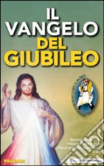 Il Vangelo del Giubileo. Raccontato da Luca missionario itinerante, affascinato dalla misericordia di Dio libro