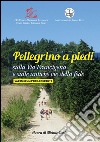 Pellegrino a piedi sulla via Francigena e sulle antiche vie delle fede. Vademecum per il credente libro