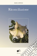 Riconciliazione