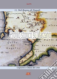 Profilo storico su Marzano. Chiese e cognomi del 1700. Il comune della provincia napoletana di terra di lavoro. Vol. 2 libro