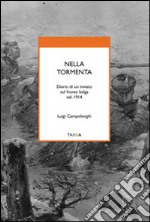 Nella tormenta. Diario di un inviato sul fronte belga nel 1914