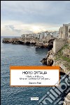 Morsi d'Italia. Il bello e il buono. Itinerari sentimentali del gusto libro