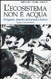 L'ecosistema non è acqua. Di lagune, disastri ambientali e futuro libro