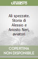 Ali spezzate. Storia di Alessio e Ariosto Neri, aviatori