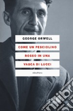 Come un pesciolino rosso in una vasca di lucci libro