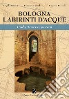 Bologna labirinti d'acque. Guida, itinerari e percorsi. Ediz. economica libro