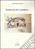 Randagio in cammino... libro