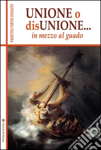 Unione o disunione... in mezzo al guado libro