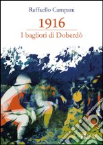 1916. I bagliori di Doberdò libro