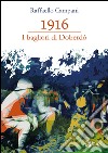 1916. I bagliori di Doberdò libro di Campani Raffaello