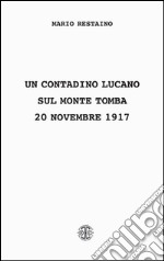 Un contadino lucano sul monte Tomba (20 novembre 1917) libro