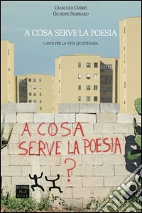 A cosa serve la poesia. Canti per la vita quotidiana libro