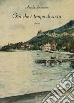 Ora che è tempo di sosta libro