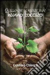 Quello che le nostre mani hanno toccato libro