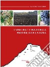 I vini dell'Etna e della provincia di Catania libro