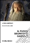 Il fuoco segreto di Gandalf. Lo gnosticismo di J. R. R. Tolkien libro