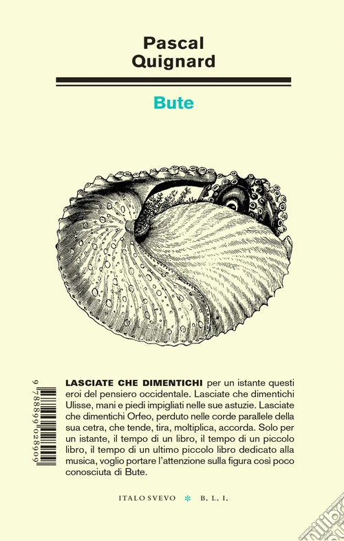 Bute