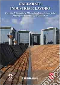 Gallarate industria e lavoro. Raccolta di immagini a 100 anni dalla fondazione della federazione industriale del gallaratese libro