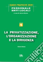 La privatizzazione, l'organizzazione e la dirigenza libro