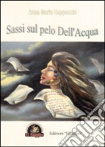 Sassi sul pelo dell'acqua