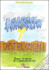 Libbretto distruzioni. Pensieri ar vetriolo de 'n assistente de volo libro