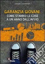 Garanzia giovani. Come stanno le cose a un anno dall'avvio libro