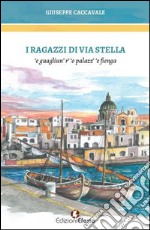 I ragazzi di via Stella. 'E guagliun' r' 'o palazz' 'e fienga