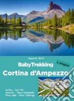 BabyTrekking Cortina d'Ampezzo. Cortina, San Vito, Misurina, Passo Cimabanche, Passo Giau, Passo Falzarego libro