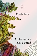 A che serve un poeta? libro