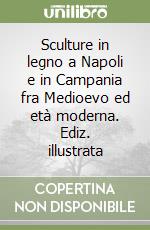 Sculture in legno a Napoli e in Campania fra Medioevo ed età moderna. Ediz. illustrata libro