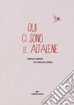 Qui ci sono le altalene