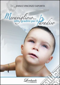 Meraviglioso... otto gradini per il paradiso libro