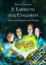 Il labirinto dell'enigmista libro