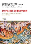 Storia dei Mediterranei. Città, porti e scambi tra l'età antica e la modernità. Primo annale. Vol. 1 libro