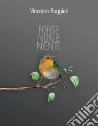 Forse Non è Niente