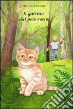 Il gattino dal pelo rosso libro