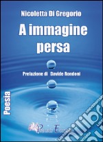 A immagine persa libro