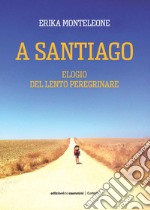 A Santiago. Elogio del lento peregrinare