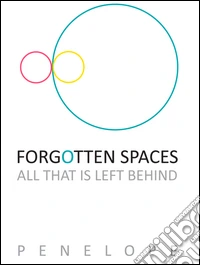 Forgotten spaces. All that is left behind. Ediz. illustrata libro