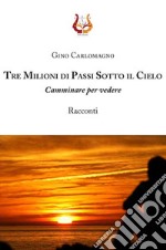 Tre milioni di passi sotto il cielo. Camminare per vedere libro