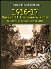 1916-17 guerra il tuo nome è morte. Anatomia di un massacro inutile libro