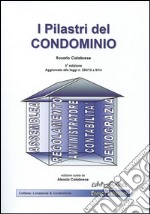 I pilastri del condominio libro